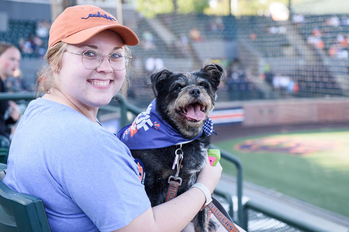 Auburn Baseball - Bark in the Park 🐶 Join us for everyone's