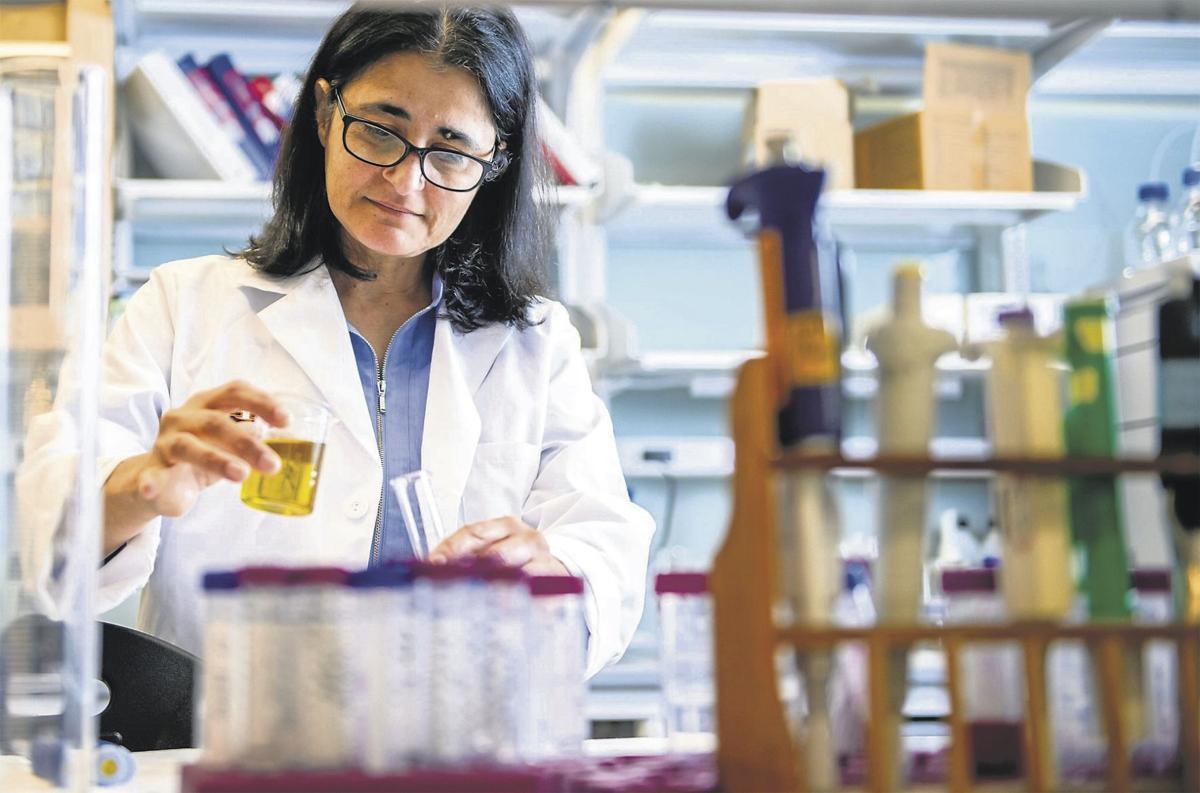 Auburn researcher
