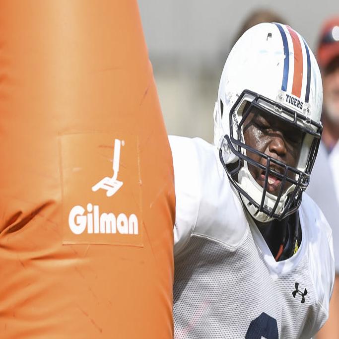 Marlon Davidson Will Play 2017 Season With Elbow Brace Following