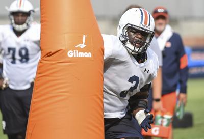 Marlon Davidson Will Play 2017 Season With Elbow Brace Following