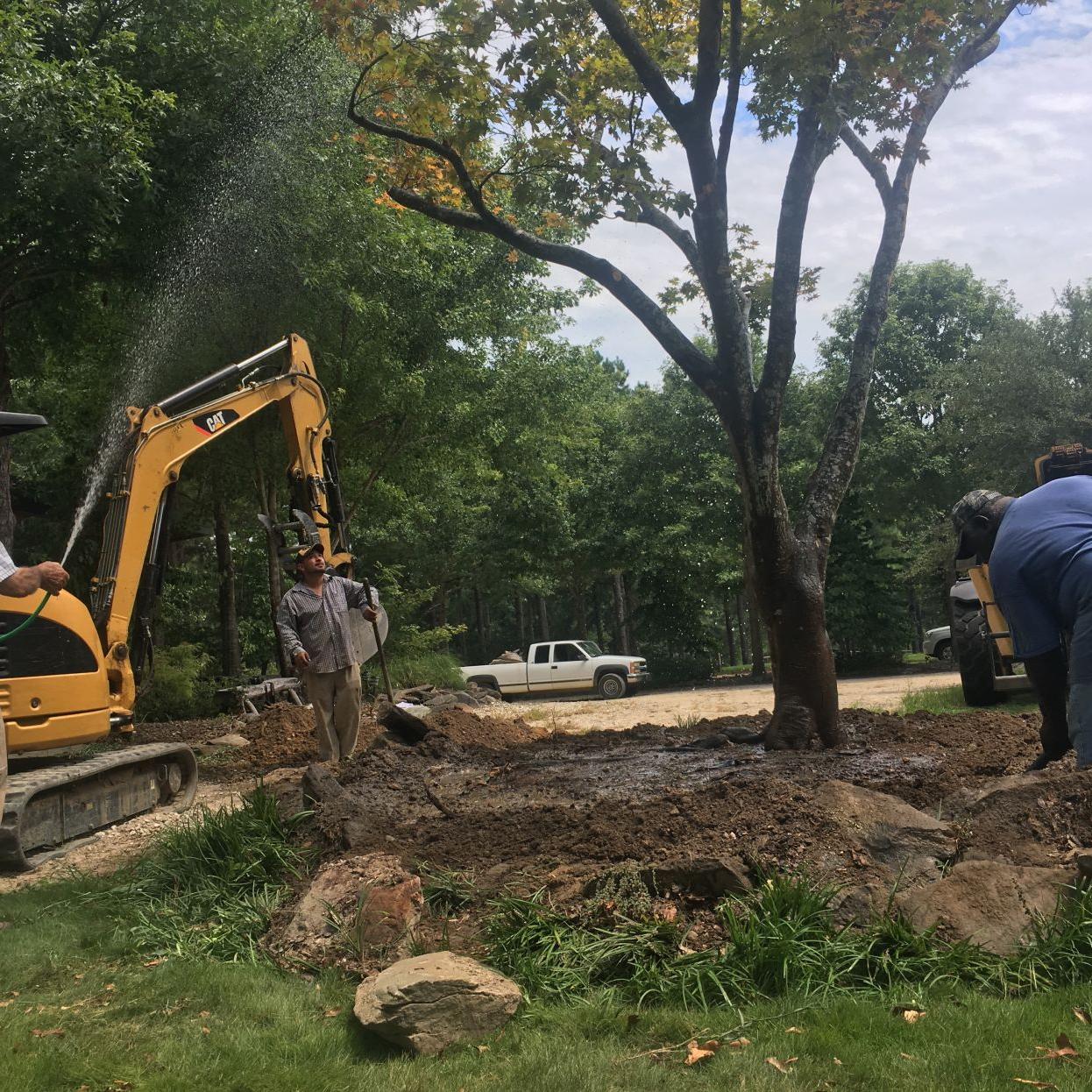 Former Auburn Coach Pat Dye Rescues Japanese Maple Latest Headlines Oanow Com