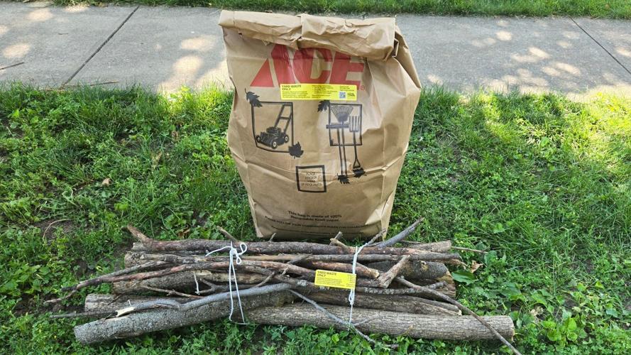 Tree debris/limb cleanup options for Decatur