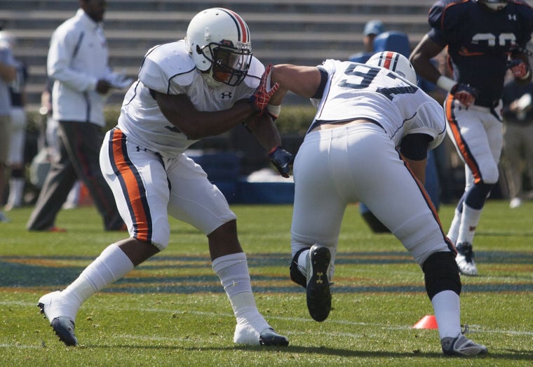 Auburn Football 2013 Depth Chart