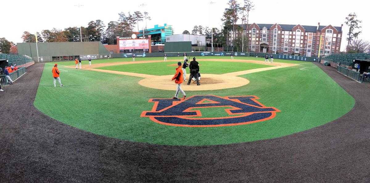 Auburn Baseball Stadium Seating Chart