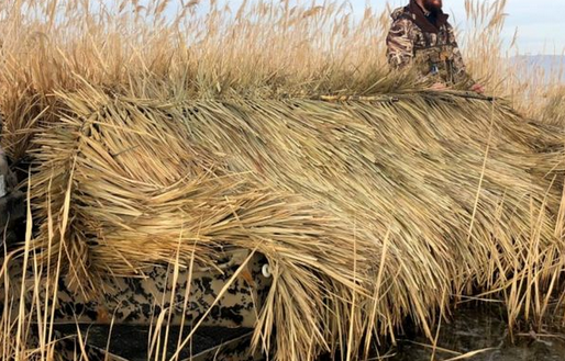 Lake Decatur waterfowl hunting blind waiting list to open July 20