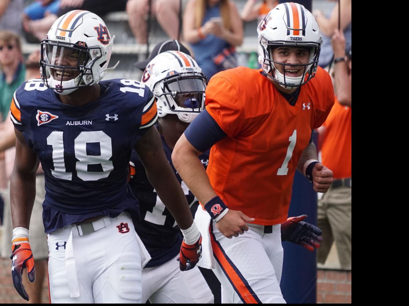 Auburn Outlook Surveying The Tigers Wide Receivers For 2019