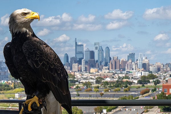 Freedom, feathers and Philly: America250 festivities to feature special AU guest