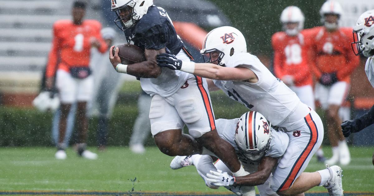 Running Back Rushing Stable of running backs shines on A-Day, signaling hope for dominant ...