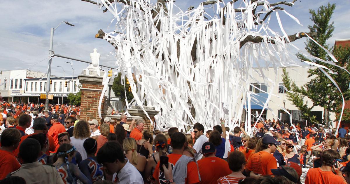 Fans allowed to roll Toomer's Oaks this season