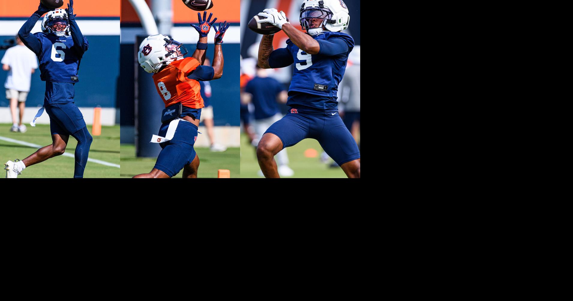 Which players could be Auburn football's punter returner this season