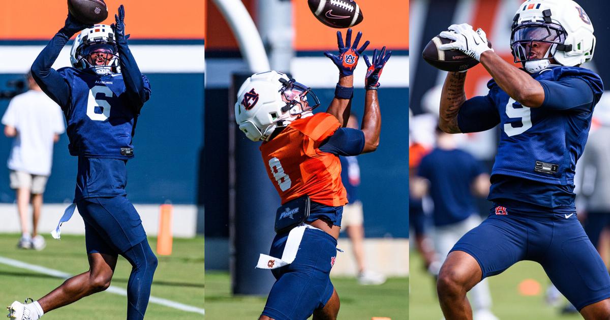 Which players could be Auburn football's punter returner this season
