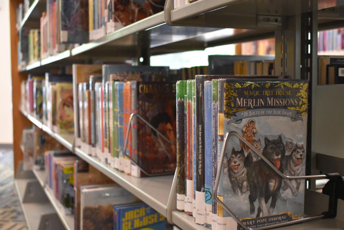 Book sale raises funds for Auburn Public Library programs Local News