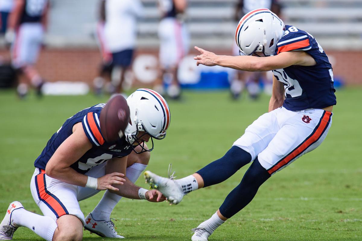 The McPherson Brothers: Born to kick