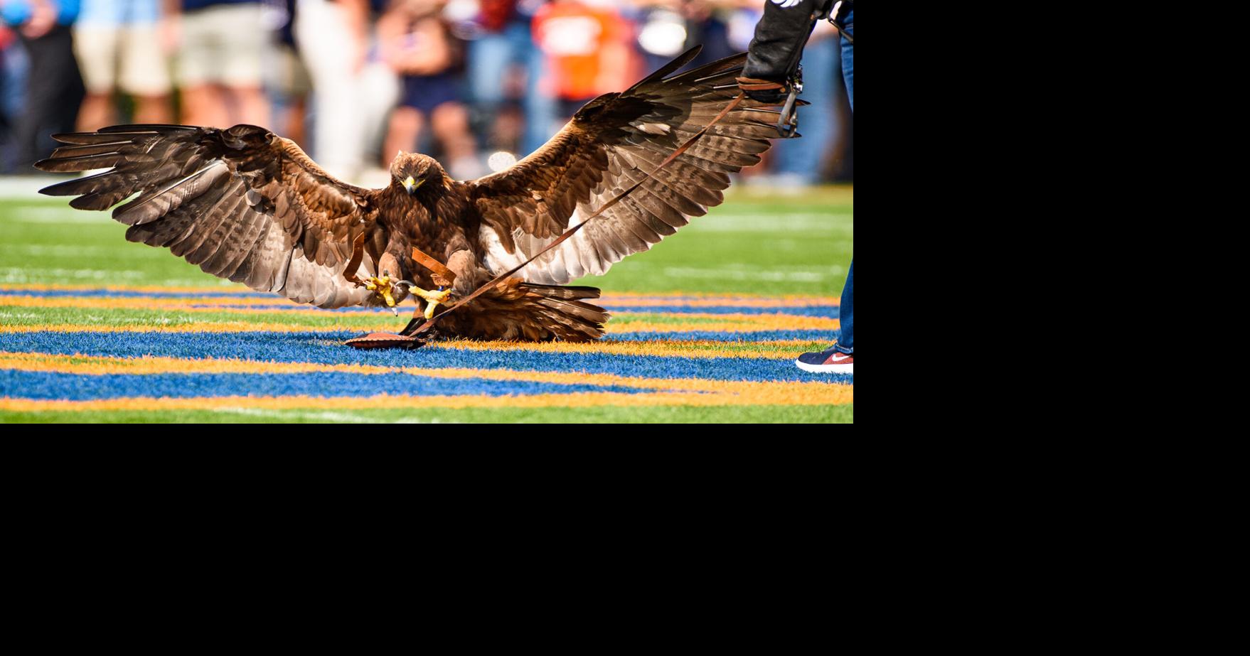Auburn to have a pregame eagle flight for the Argentina-Iceland soccer match