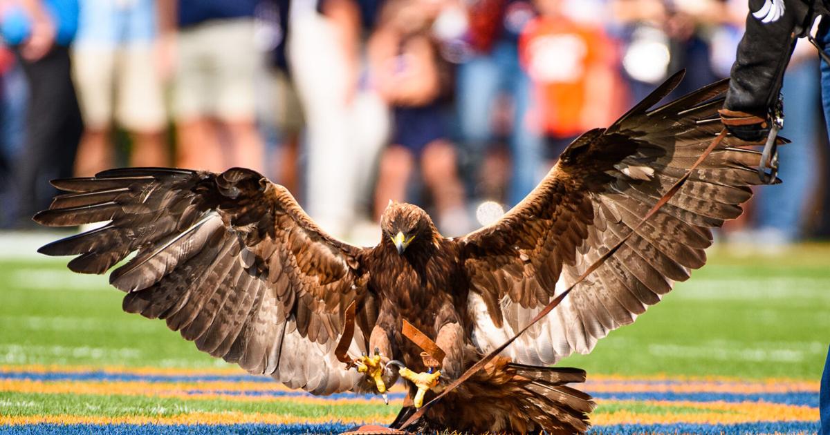 Auburn to have a pregame eagle flight for the Argentina-Iceland soccer match