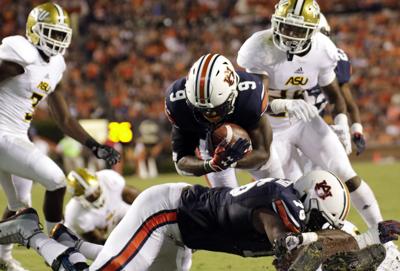 Auburn Tigers Vs Alabama State Hornets Football Tickets