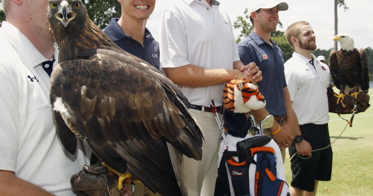 Southeastern Raptor Center showcases eagles, raptors ahead of Barbasol ...