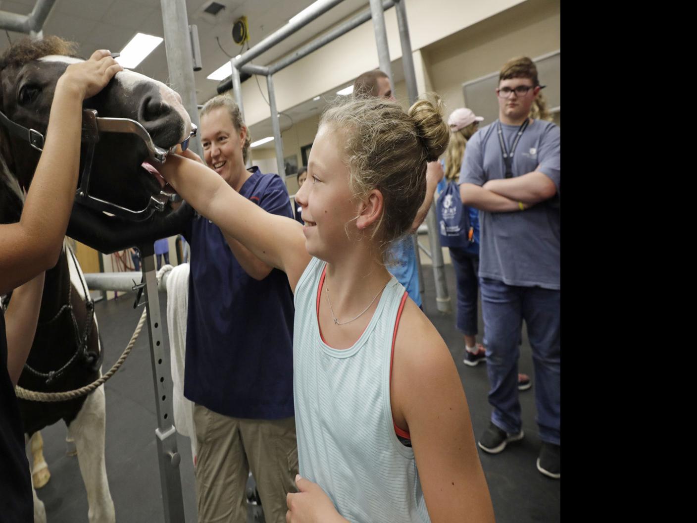Camp gives kids a glimpse into veterinary science | Latest Headlines |  oanow.com