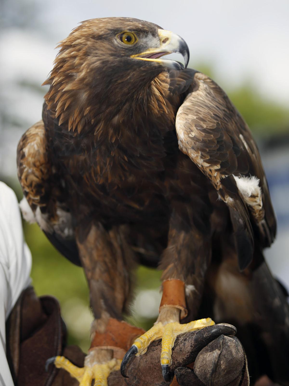BARBASOL CHAMPIONSHIP: Wednesday Pro-Am Photo Gallery ...