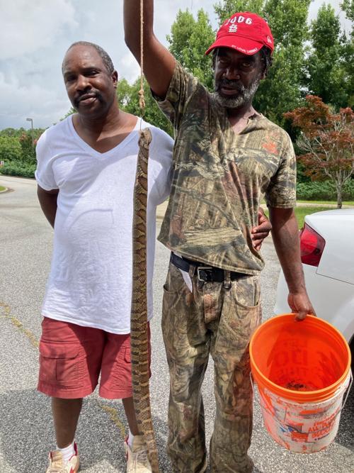 Willie Barsh cottonmouth