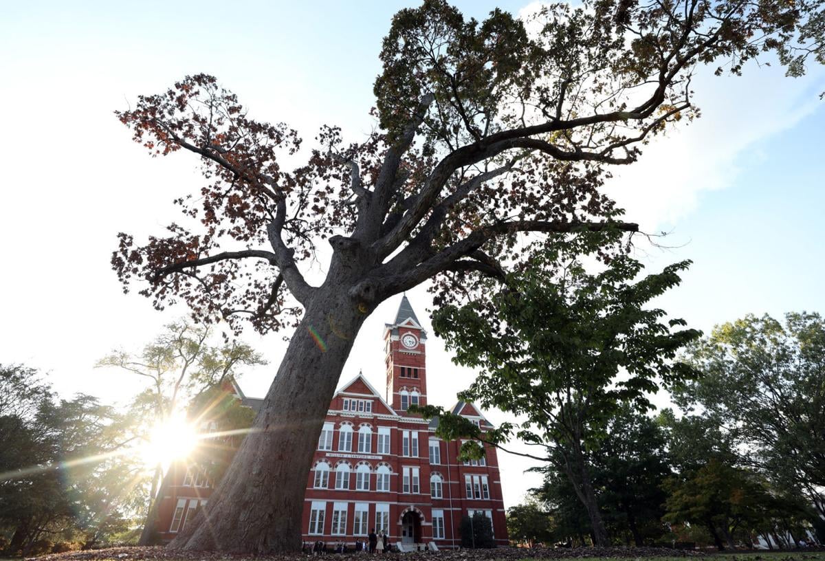 Lee County confirmed cases rise, Auburn University to pay ...