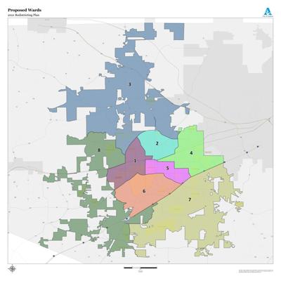 Auburn proposed redistricting (copy)