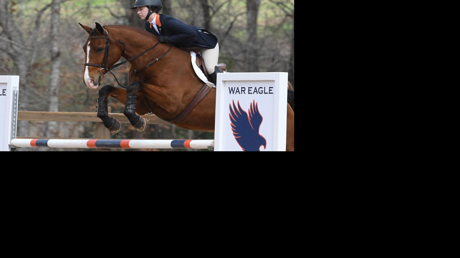 A Beginner S Guide To Equestrian The Horse Based Sport That Won Auburn S Most Recent National Title Auburn University Sports News Oanow Com