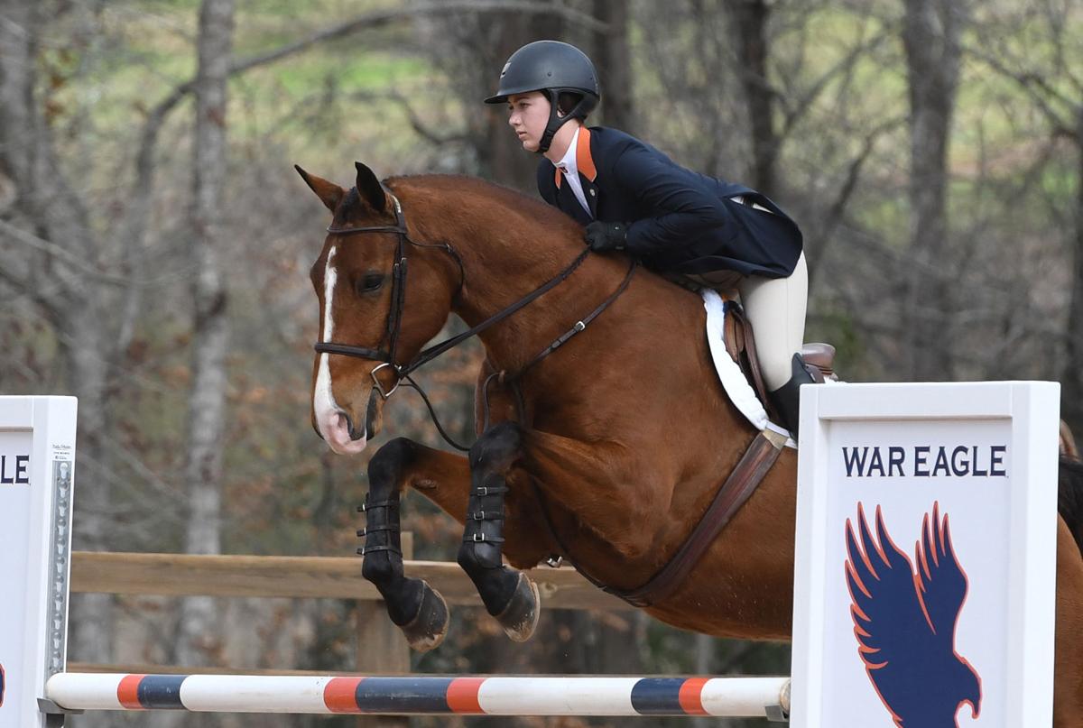 A beginner’s guide to equestrian, the horsebased sport that won Auburn