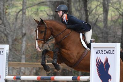 A Beginners Guide To Equestrian The Horse Based Sport That - 