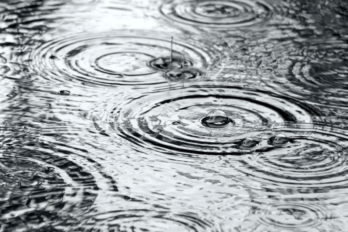 Rain puddle