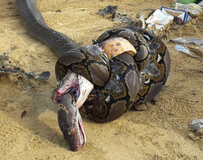 One Photo Captures The Aftermath Of A Fight Between Two