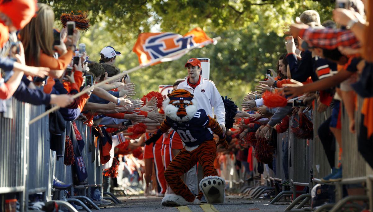 Learn How Aubie Keeps His Youthful Look At Discussion News