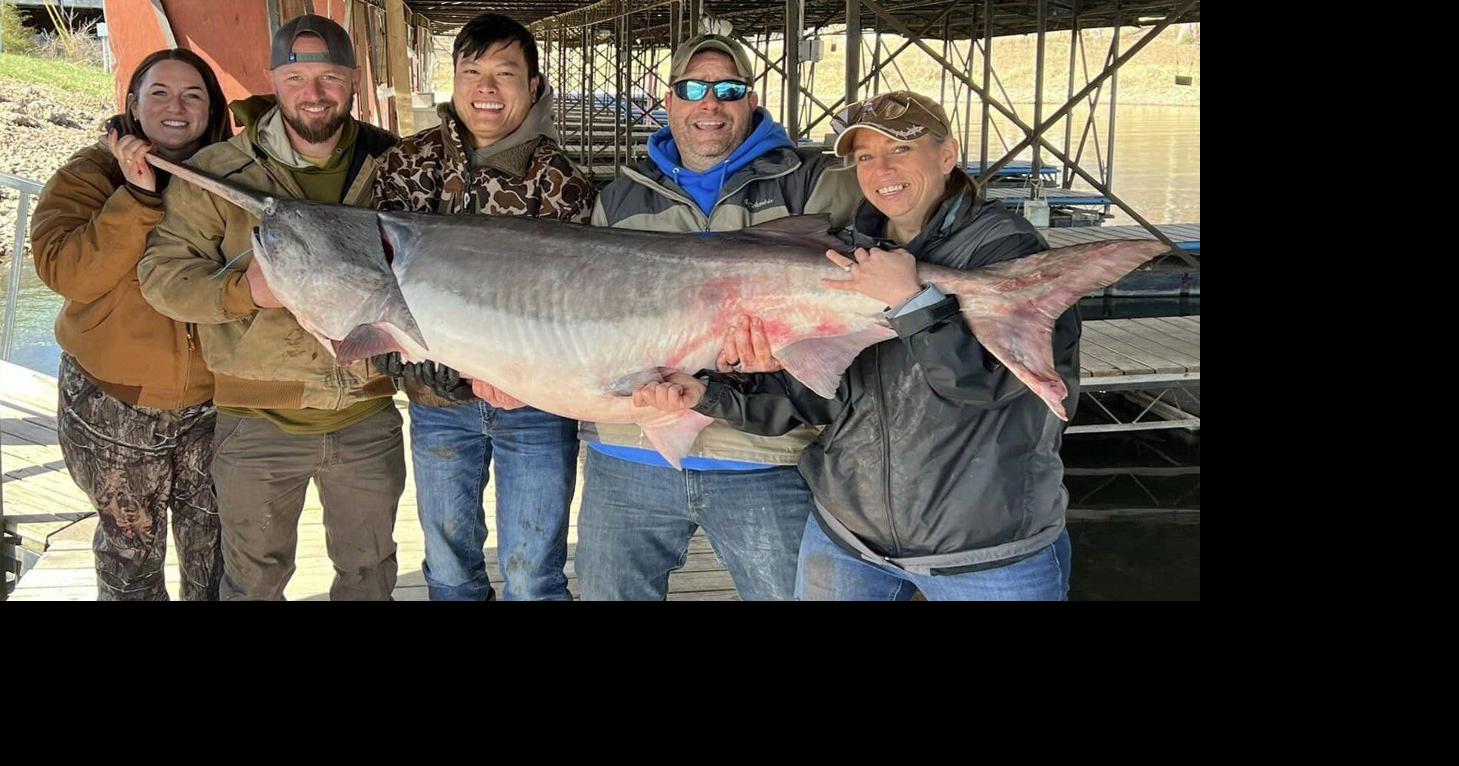 Record-setting Missouri fish caught in Lake of the Ozarks