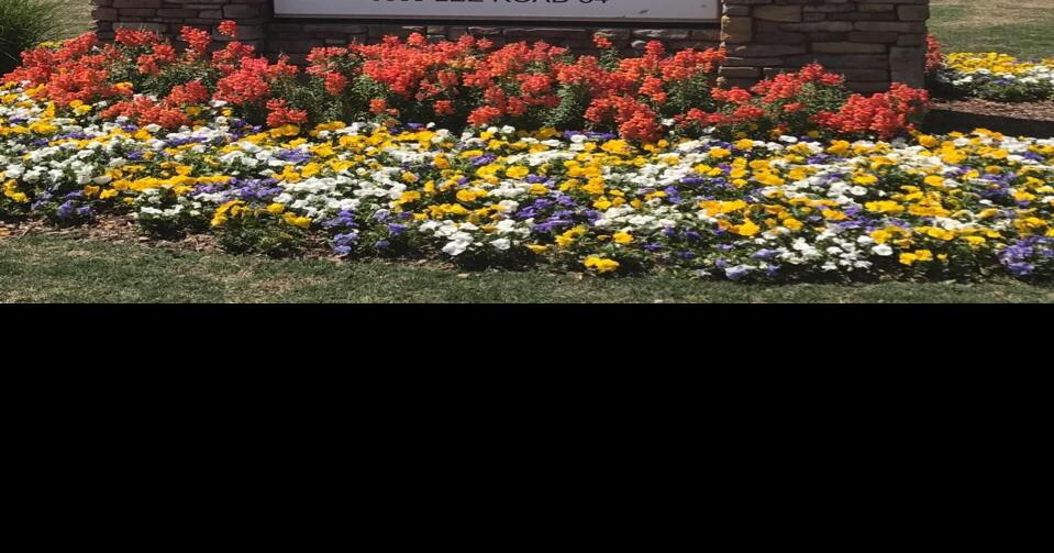 Upgrade your lawn with Cutting Edge Lawn Service