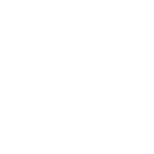 WHERE YOUR STORY LIVES visual data 4