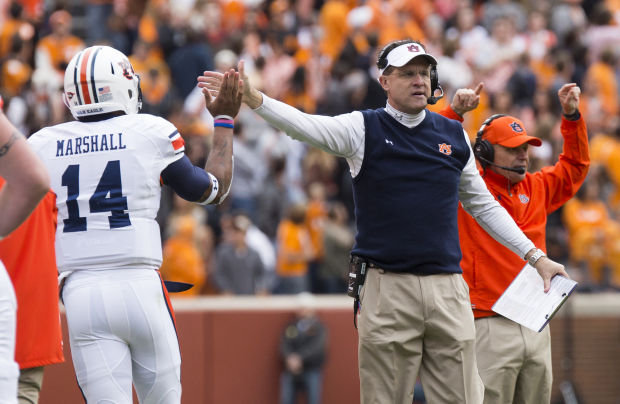 gus malzahn sweater vest