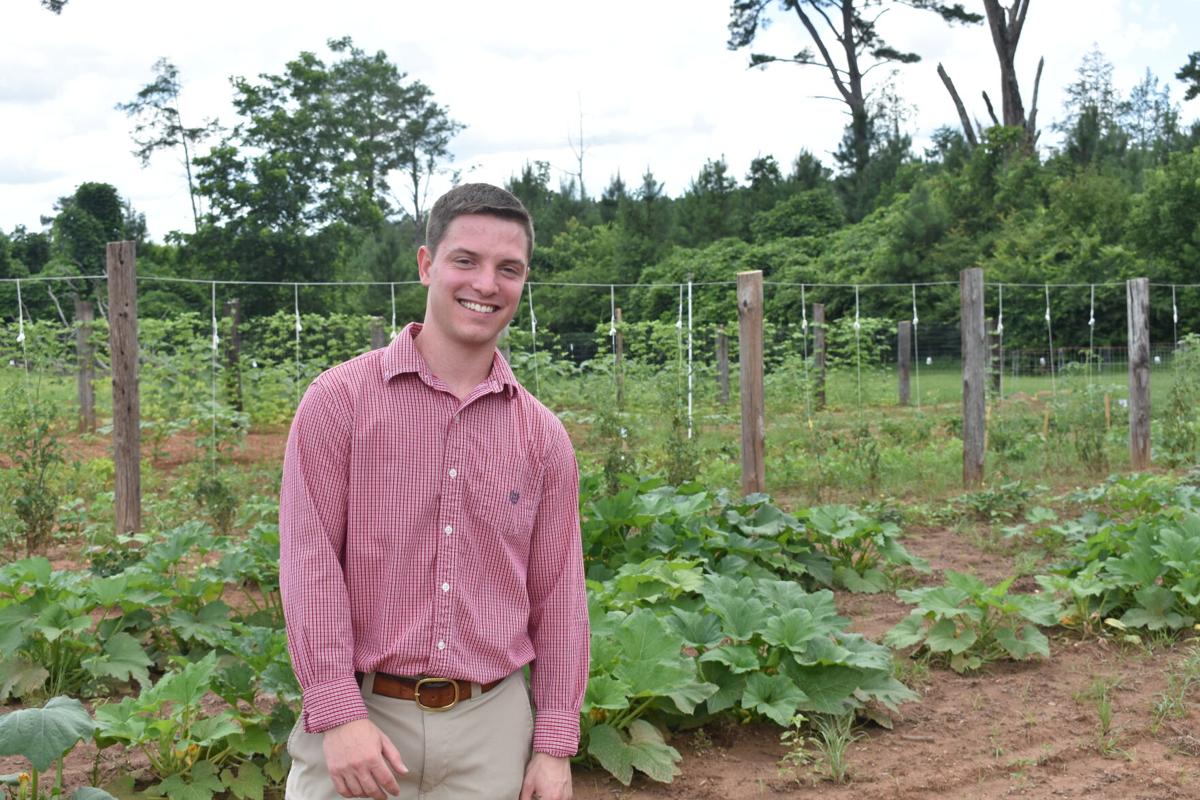 Andrew Bailey garden.JPG
