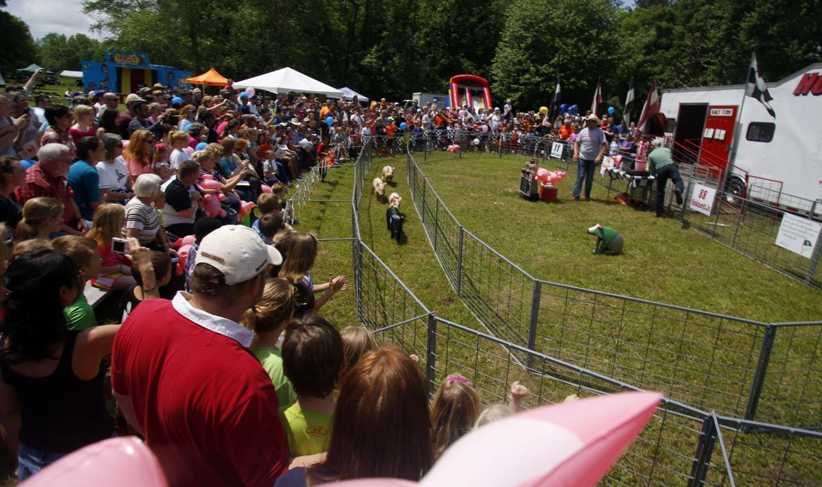 Things to do in Auburn and Opelika April 29May 1 Local News