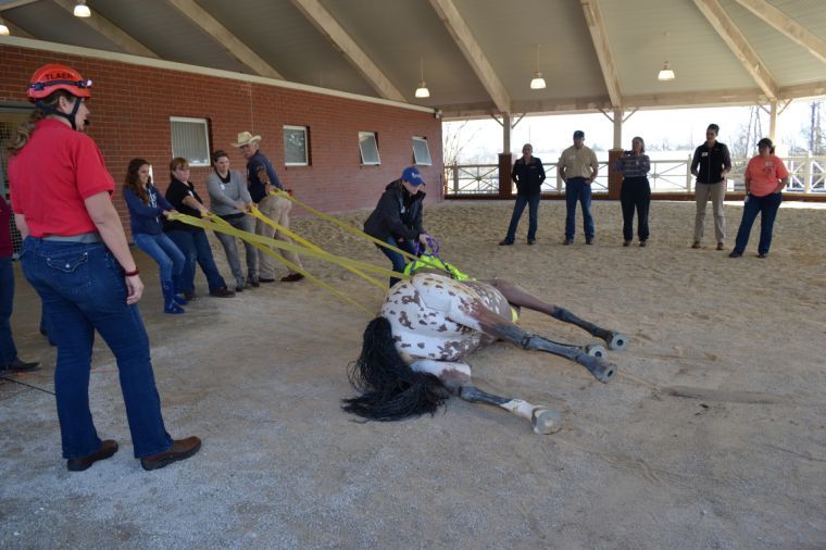 Auburn University vet school offers large animal emergency response course