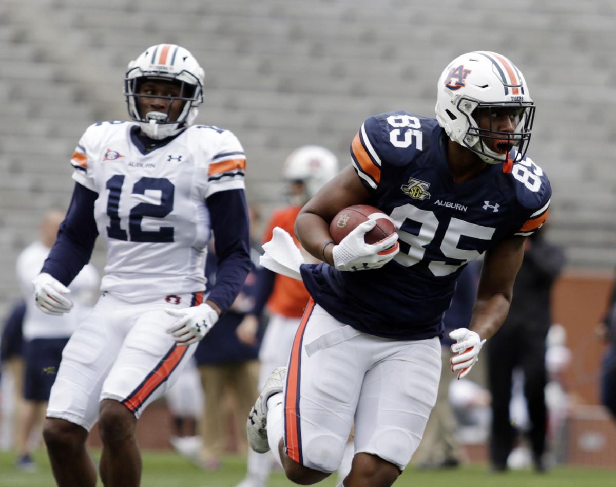 What We Know Don T Know About Auburn S Tight Ends Auburn