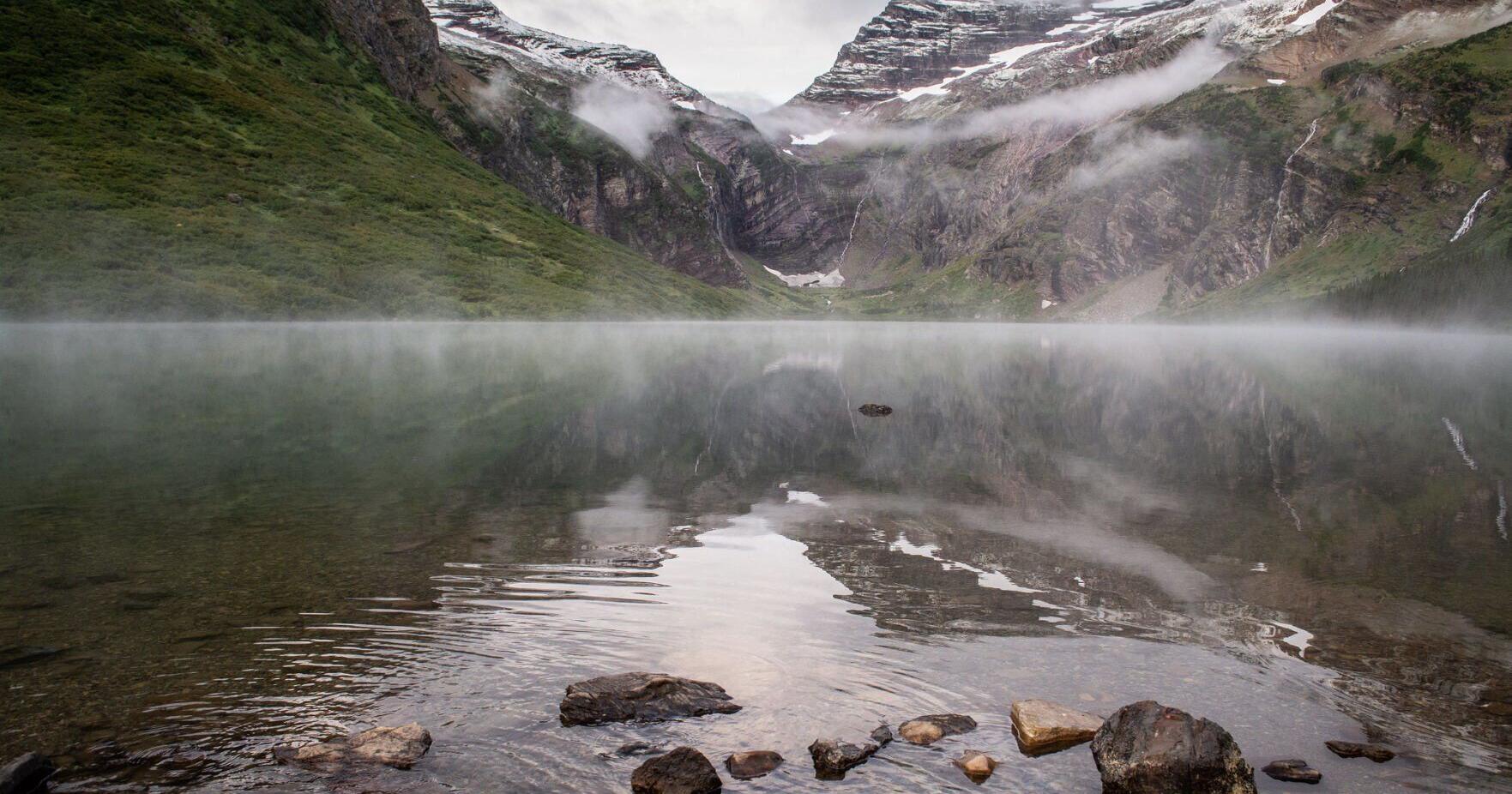 Can the ESA help create new habitats for at-risk species? - Vimarsana News