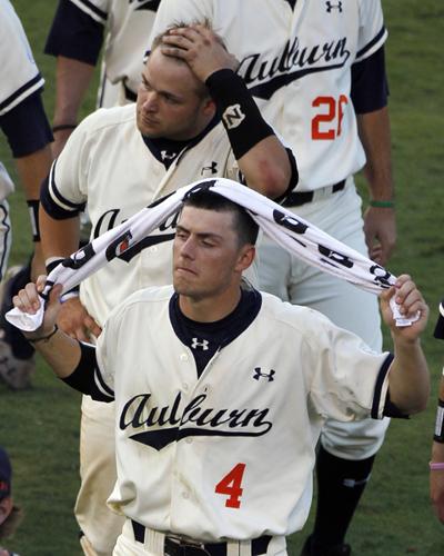 Best Auburn Tigers Baseball: Championships And SEC