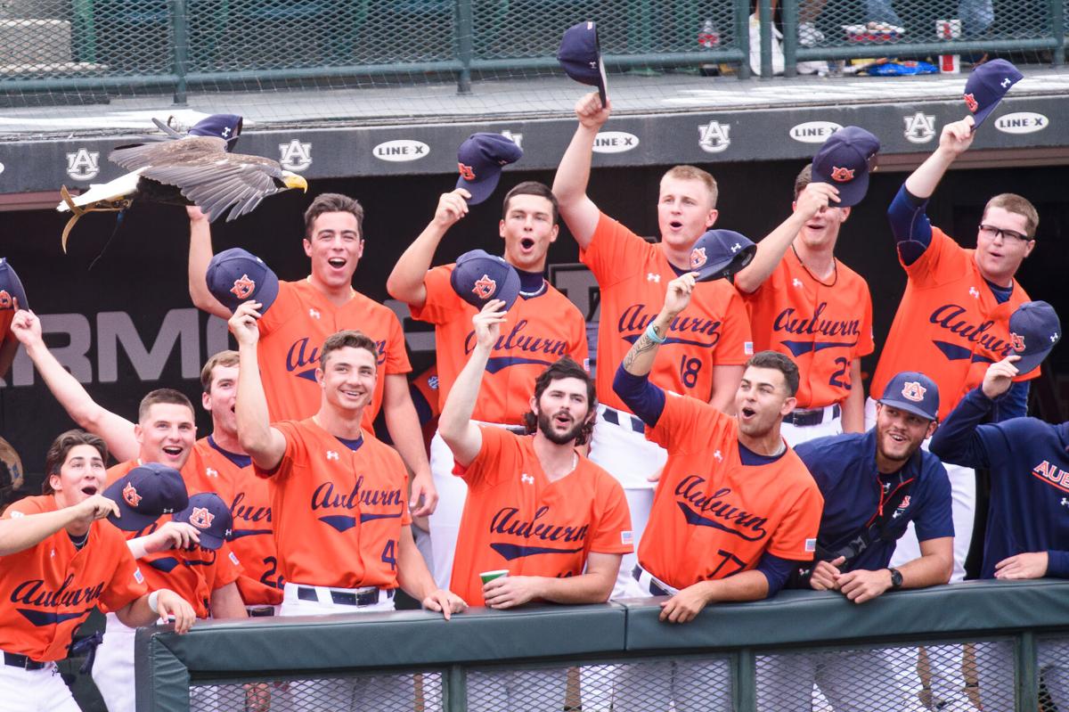 Auburn Baseball on X: Very few are off to hotter starts than