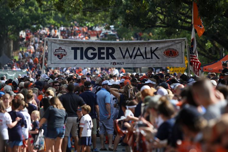 Tickets, parking, tailgating, concessions & more Tony the Tiger