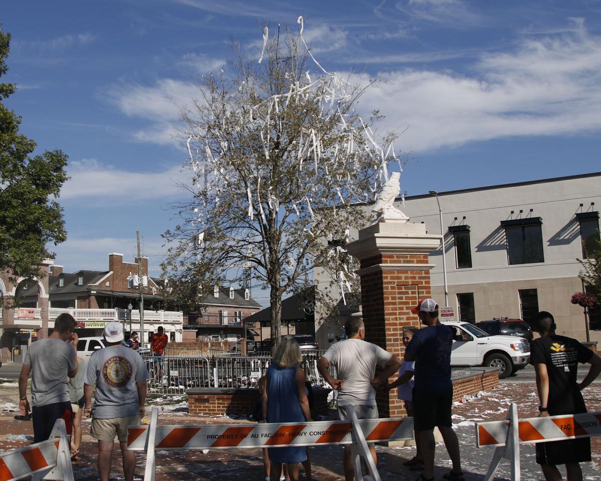 Future of Toomer's oak tree uncertain after fire