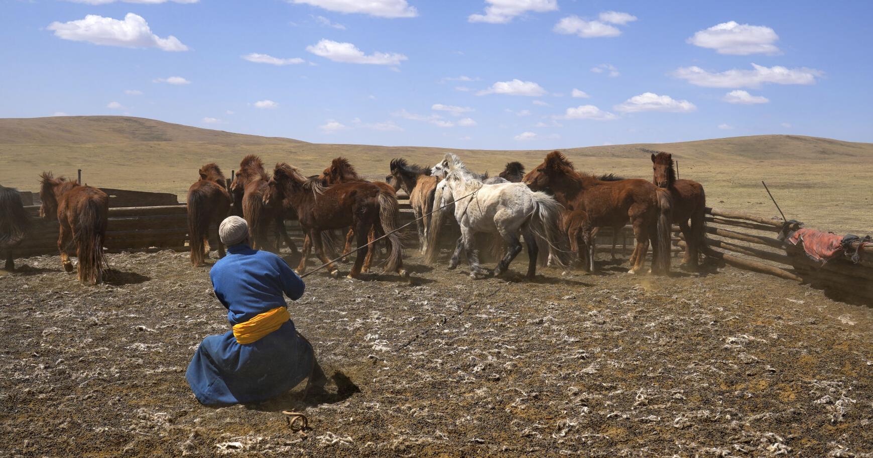 The Protein Problem: food production's toll on the planet - Vimarsana News