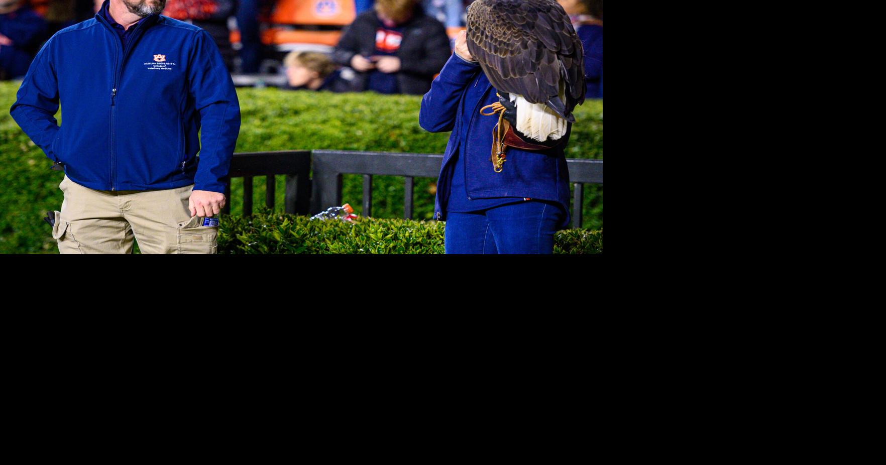 Soaring into a new stage: Southeastern Raptor Center names new director ...