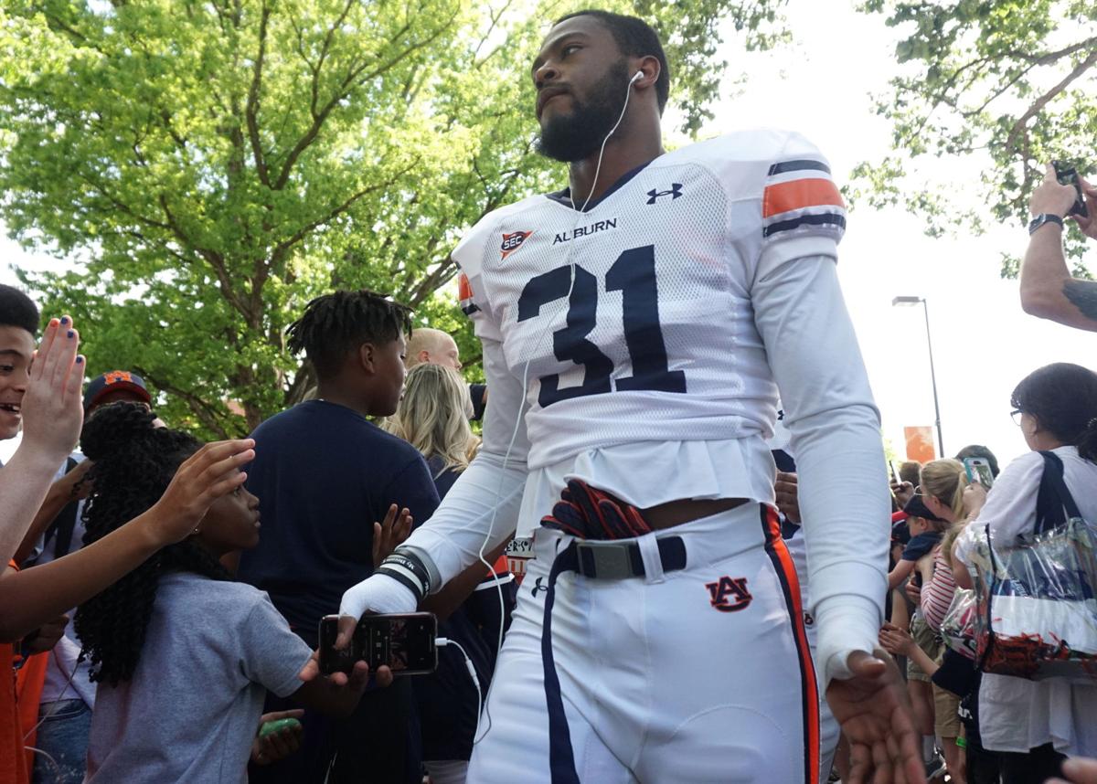 A-Day Tiger Walk