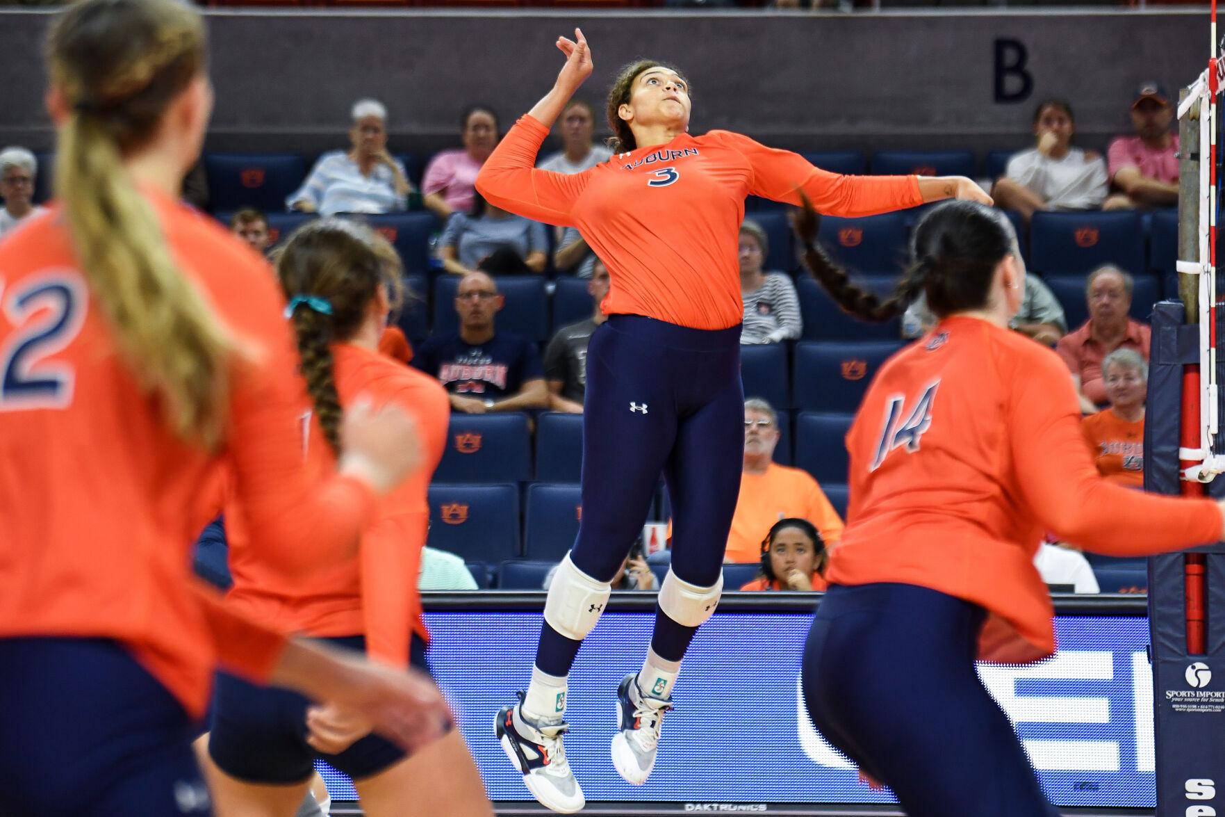 The sevenyear plan Inside the boom of Auburn volleyball