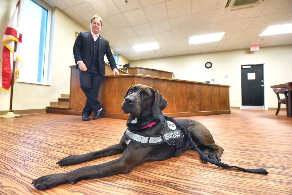 aar dog registration